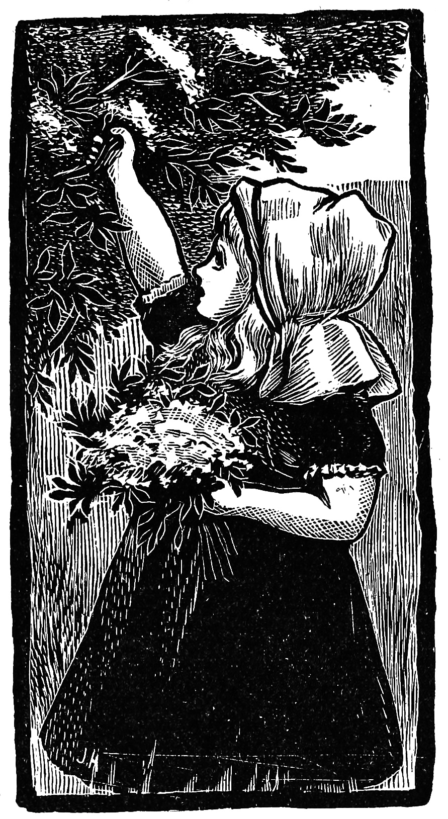 A vintage illustration shows a woman looking up at tree branches, useful when picking a creator name.